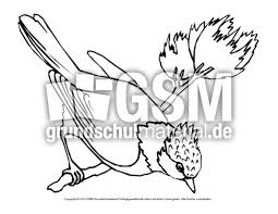 Ausmalbild Haubenmeise Vogel Tiere Zum Ausmalen Ausmalbilder Bildende Kunst Material Klasse 1 Grundschulmaterial De