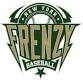New York Frenzy event image