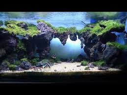 There are other options for biological filter media that are made of plastic, like aquascape bioballs™. Aquascape Dengan Batu Lava Rock Youtube