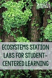 Ecosystems Station Labs For Student Centered Learning High School Environmental Science Middle School Science Activities Ecosystems