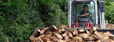 Neben der konventionellen fälltechnik beseitigt forst und garten bäume mittels seil, steiger oder kran. Forst Garten