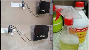 Maybe you would like to learn more about one of these? 3 Cara Berkesan Hilangkan Kulat Kulapuk Dinding Tak Bercapuk Lagi