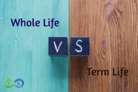 Talk with insurance experts to answer your questions. Whole Life Vs Term Life Top 10 Differences And Similarities You Need To Know