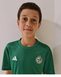 ההתאחדות לכדורגל בישראל