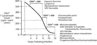 Image result for Absolute Lymphocyte Count Estimation of CD4 Count