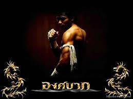 We hope you enjoy our growing collection of hd images. Muay Thai Wallpapers 4k Hd Muay Thai Backgrounds On Wallpaperbat