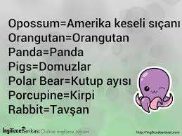 Let S Learn More Vocabulary About Animals What S Your Favorite Animal Ingilizce English Animals Hayvanlar Vocabulary Learn English Vocabulary Orangutan