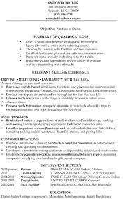 excellent resumes resume format