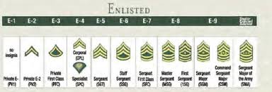 Insignia For Army Enlisted Personnel Download Scientific