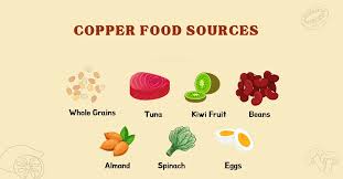 Study Suggest Copper Diet