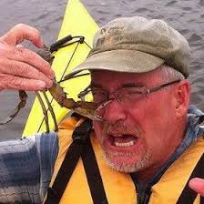 Ted Newcomb (roaminrev)