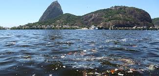As an aspect of their bid for the games, rio once again committed to making efforts towards cleaning the bay. Dutch Consortium Presents Clean Up Plan To Combat Pollution Of Guanabara Bay Rio De Janeiro Dutch Water Sector