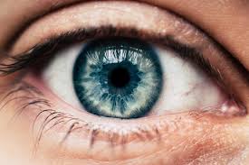 We did not find results for: Regeneron S Pre Filled Syringe For Eye Injection Finally Approved By Fda