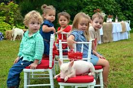Themed Party Mobile Animal Farm Sydney Petting Zoo Hire Kindifarm Com Peppa Pig Party White Leather Chair Pig Party