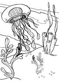 But all species of jellyfish have a kind of glassy body often in the shape of a. Animal Coloring Pages Jellyfish Animal Coloring Pages Abstract Coloring Pages Jellyfish Coloring Pages