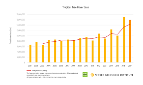 2017 was the second worst year on record for tropical