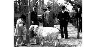 Ataturk Un Herkes Tarafindan Bilinmeyen Ozellikleri Tarih Ormanlar Hayvan