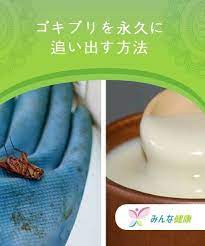 ゴキブリを永久に追い出す方法 みんな健康 ライフスタイル ゴキブリ ハッカ ゴキブリ 駆除 ゴキブリ