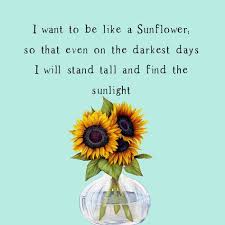 I Want To Be Like A Sunflower Charity Sparrow Sunflower Quotes Inspirational Quotes Sunflower
