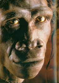 Pin On Ape Men And Proto Humans