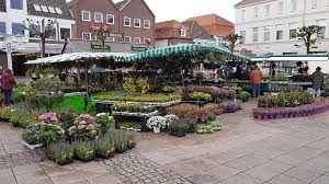 Garten Eden Hallo Aurich Und Leer Heute Ist Was Los In Facebook