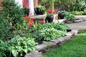 Are you getting annoyed with your unattended garden that full of weed? Easy Landscaping Easy Maintenance Landscaping Yard Tips