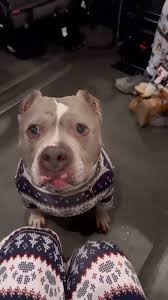 Christmas lights in our pajamas with our peeps!