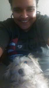 Found dog in La Marque, Texas, searching for owner