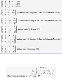 Disejajarkan dengan isaac newton dan archimedes sebagai salah satu dari tiga ahli matematika yang terbesar yang pernah ada. Eliminasi Gauss Dan Gauss Jordan Docx Docx Document