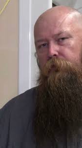 Newly Identified Funnel-Web Spider Could Pose Bigger Venom Threat