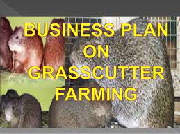 Grasscutter Farming