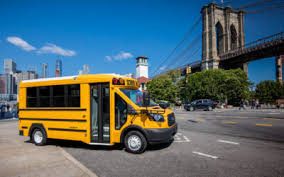 Image result for School Bus Yellow 2019 Transit