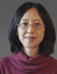 Early Career and Junior Faculty