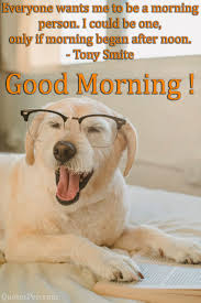 Let's start the topic now; Good Morning Funny Quotes Images Let S Start Day In A Funny Mood