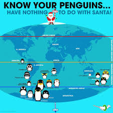 Pin By Skye On Animals Fun Facts About Animals Bird Life List Animal Infographic
