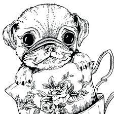 They develop their own individual whistles and they recognize theirs and other dolphins' names. Pin On Adult Coloring Pages