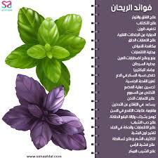 فوائد الريحان للجسم 24 فائدة مذهلة مع طرق استعمل الريحان الصحيحة Health Fitness Nutrition Fitness Nutrition Childrens Education