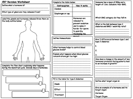 edexcel cb7 revision worksheet teaching resources