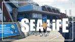 SEALiFE SCHEVENINGEN, Den Haag, Netherlands - YouTube