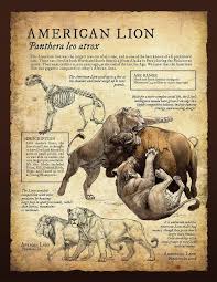 12970863 285712345094006 8200330302566113075 O Jpg 750 970 Pixels Prehistoric Animals Ancient Animals Extinct Animals