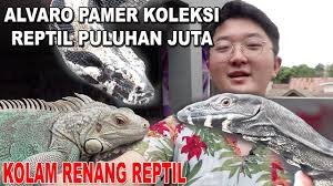 Receive a qualification for your new career. Dokter Reptile Langganan Irfan Hakim Lucky Hakim Youtube