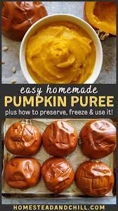 How To Make Homemade Pumpkin Puree And Freeze It Homestead And Chill Recipe Homemade Pumpkin Homemade Pumpkin Puree Pumpkin Puree