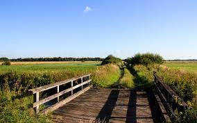 Check spelling or type a new query. Wandern Im Teufelsmoor Kulturland Teufelsmoor