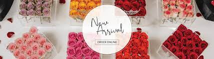 We did not find results for: Black Tulip Flowers Qatar Home Facebook
