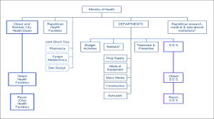 organizational chart of the ministry of health kyrgyz