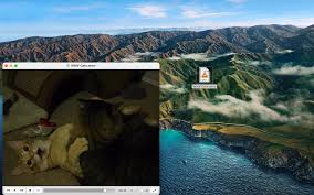 However, the mac version of windows media player has been discontinued, and no longer works with newer macs. How To Play Windows Media Files On A Mac Top 3 Best Solutions In 2021