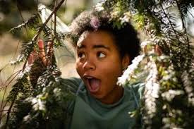 Onda Latina: En el Bosque de Encantos Program by Onda Latina