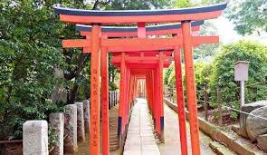 日本稻荷神社的小知識 park slide park structures