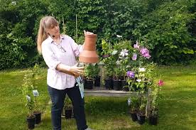 The number or letter indicates how and when the plant should be pruned. Video Clematis Rosen Best Friends Im Landhaus Ettenbuhl Landhaus Ettenbuhl