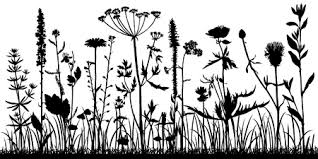We did not find results for: 419 057 Scherenschnitt Blume Vektorgrafiken Cliparts Und Illustrationen Kaufen 123rf